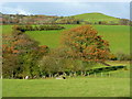 View north to the hill fort