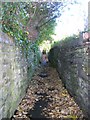 Footpath - Keighley Road