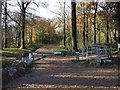 Track from car-park, Llwyn Celyn