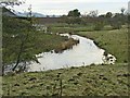 River Wansbeck at Low Angerton