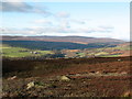 Grouse Moor at Noska Head