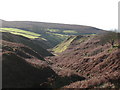 Pickles Gill