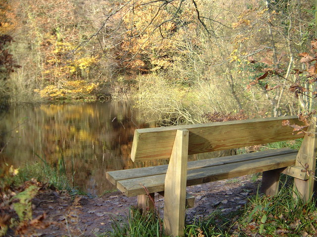 Bench by the reservoir in Chepstow Park Wood