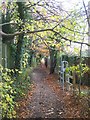 Bridleway in Wildwood Glade