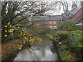 Tadburn Lake & Fox Mill, Romsey