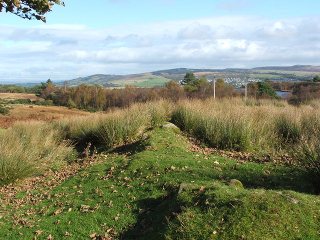 Carman House: dyke enclosing garden