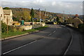 Road through Forest Green