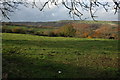 View over the Woodchester Park