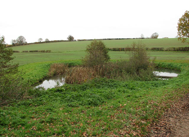 Pond by footpath junction