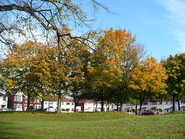 Autumn colour, Mendalgief Road