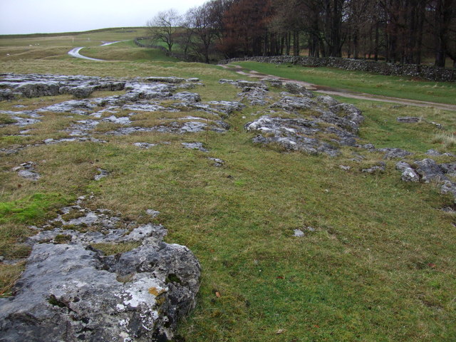 Limestone outcrop at Oddendale