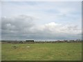 Fields near Rhedyn Coch