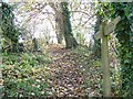 Footpath, Middle Wallop