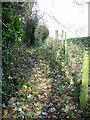 Footpath, Middle Wallop