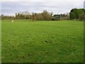 Mullanavehy Townland