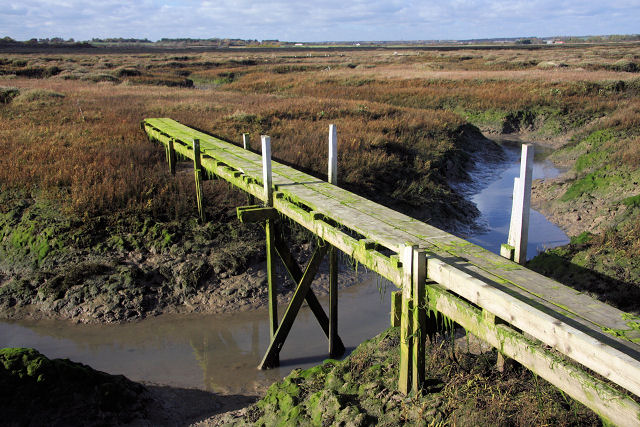 Tollesbury Fleet, Maldon - area information, map, walks and more