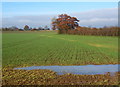 Open fields between Stowupland and the A14