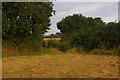 Field corner, Chediston Hall Farm