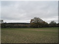 Looking towards Admirals Walk from St Mary