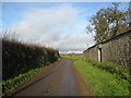 Lane passing Collingthwaite Farm