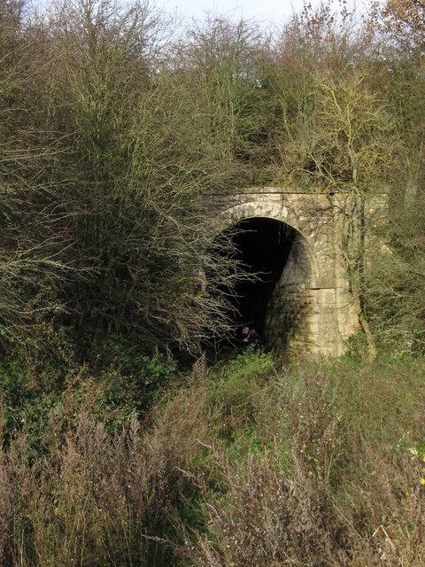 Pleasley - bridge on footpath to New... © Dave Bevis cc-by-sa/2.0 ...