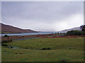 NM6525 : Loch Spelve by Richard Dorrell