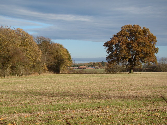 Mulwith Farm © David Rogers :: Geograph Britain and Ireland