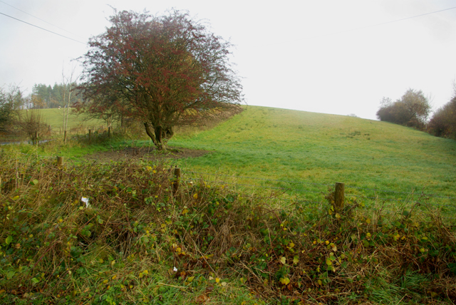 Field near Bligh's Pitch
