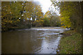 Weir at Blackford Bridge