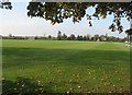 Trinity College New Field