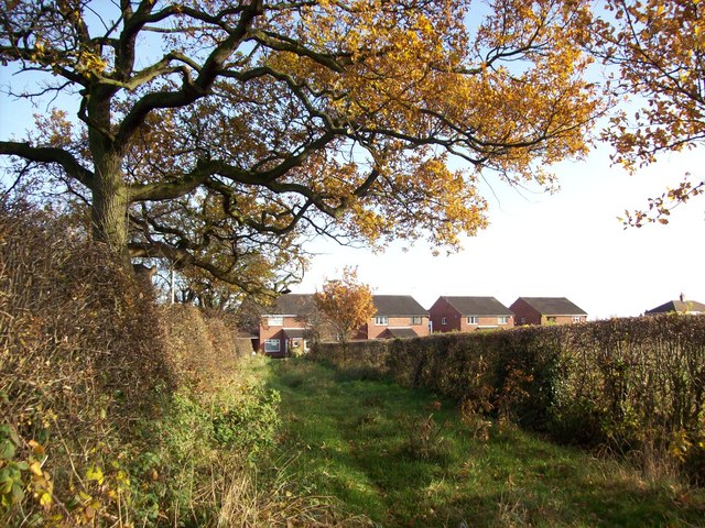 Strip of land between a footpath and the playing fields