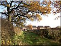 Strip of land between a footpath and the playing fields