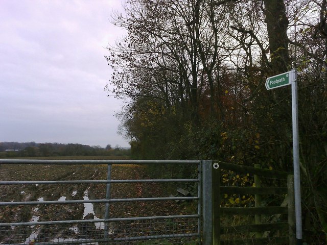 Fenced Footpath, Linshire Copse