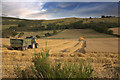 Harvest at Boghall