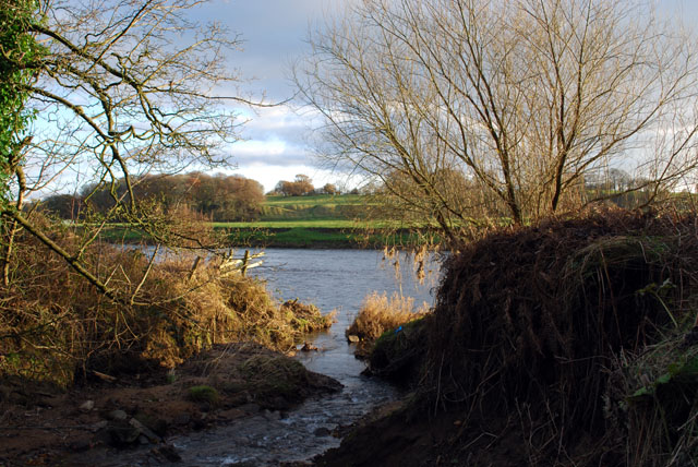Ribble Tributary