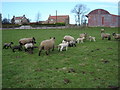 Farm  just  North of  Ryton  Bridge