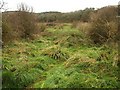 Open land near St Mary