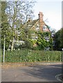 Leafy house - Selwyn Gardens