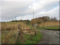 Farm track north to Ty-llwyd