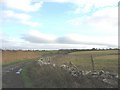 A change of direction - bend in the minor road east of Pentre-traeth