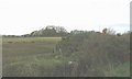 View west in the direction of Pentre-traeth Farm