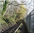 Footpath to Park Bridge