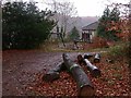 Forest playground, Ruspidge, Forest of Dean