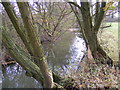 TM3560 : River Alde at the rear of the Riverside Centre by Geographer