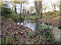 Stream at western edge of Fairwater Park