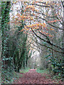 Approaching Lock Road on the Weaver