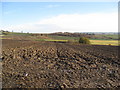 Parkgate Lane - View across farmland