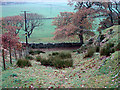 Descent from Bryn Glas