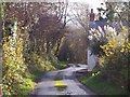 Trenewydd Lane past Sandy Grove, Llanteg