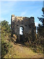 Engine house remains at Wheal Clifford